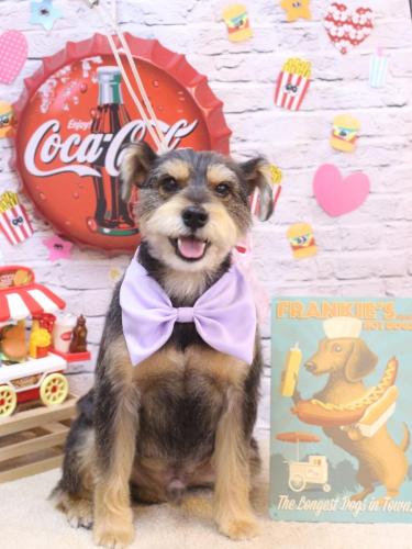 20230902ピンくん